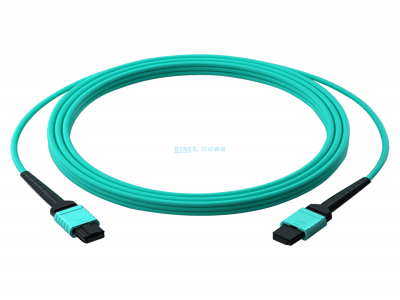 MPO Patch Cord