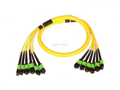 Trunk MPO patch cord