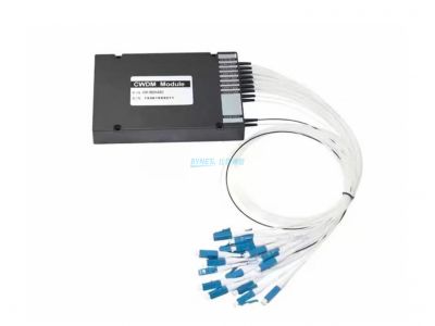 CWDM Module