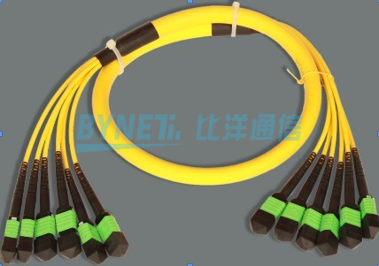 Trunk MPO patch cord