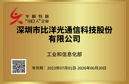 National Little Giant Enterprise, “Producing Unique and Novel Products with Specialized and Sophisticated Technologies”